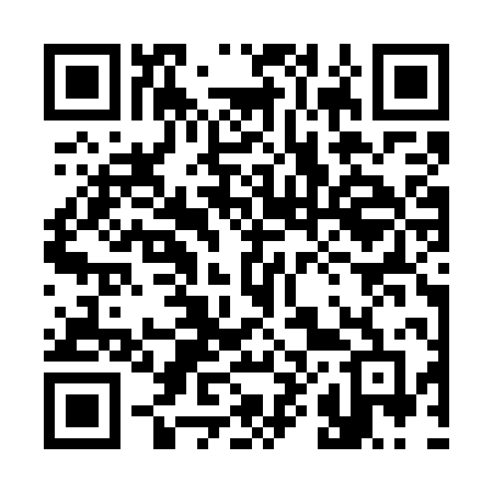 QR code for 383WPF