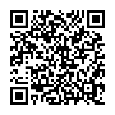 QR code for 383ZOL