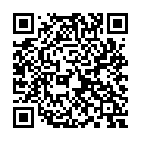 QR code for 384APG