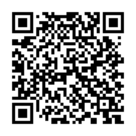 QR code for 384BUS