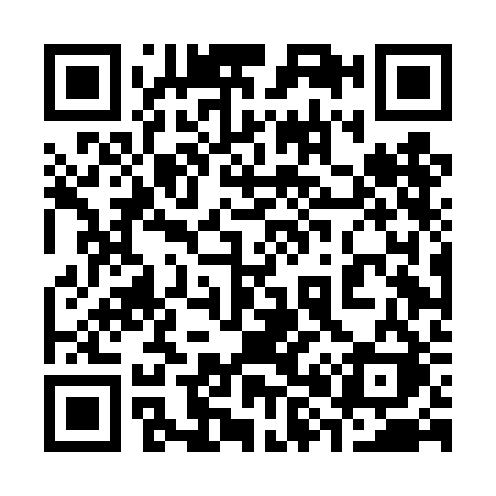 QR code for 384DBK