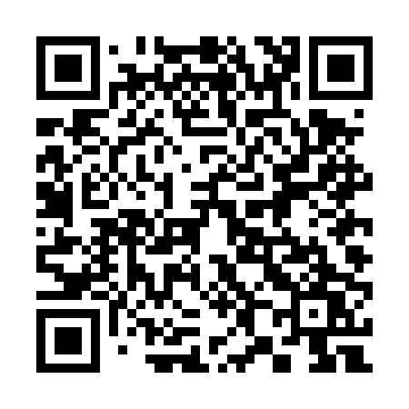 QR code for 384DPW