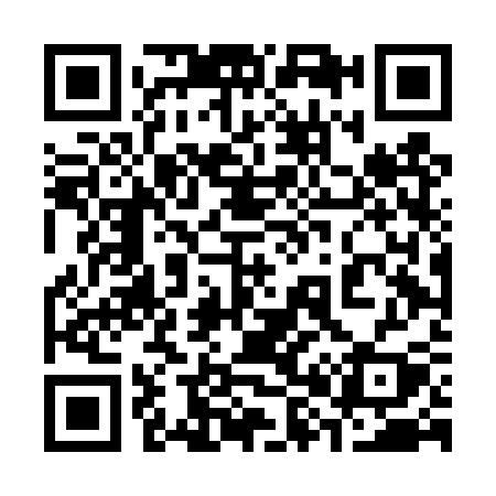 QR code for 384DSY