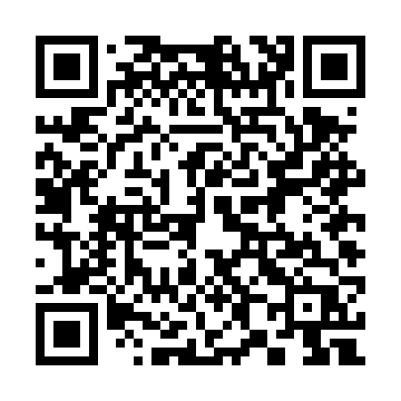 QR code for 384DVP