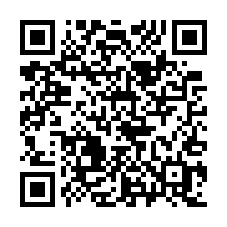 QR code for 384GUD