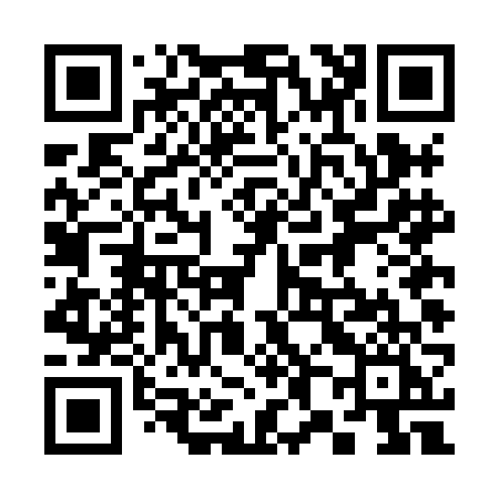 QR code for 384HFI