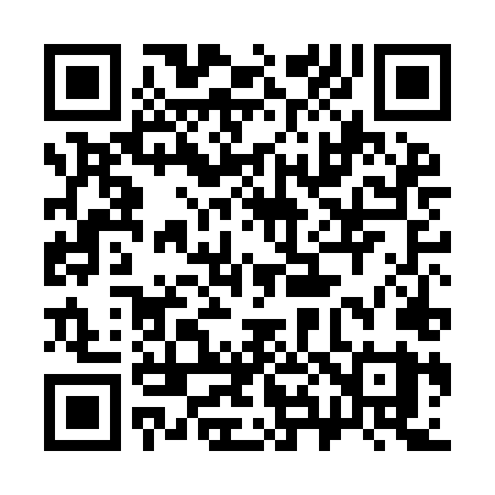 QR code for 384ILY