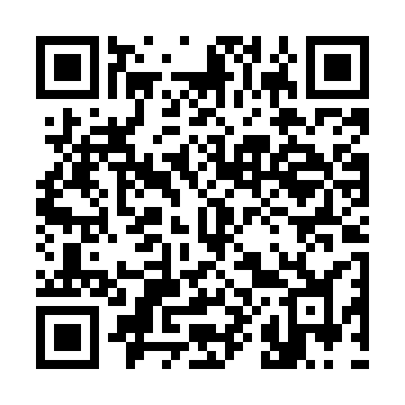 QR code for 384MSJ