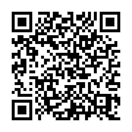 QR code for 384PAQ
