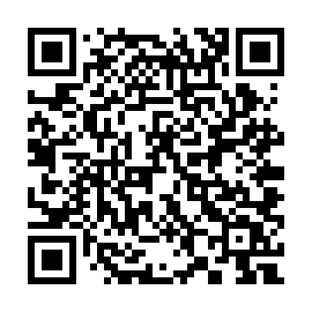 QR code for 384RLT