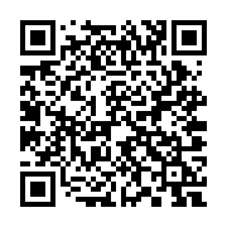 QR code for 384ROE