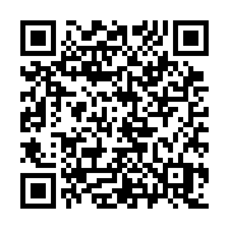 QR code for 384SJT