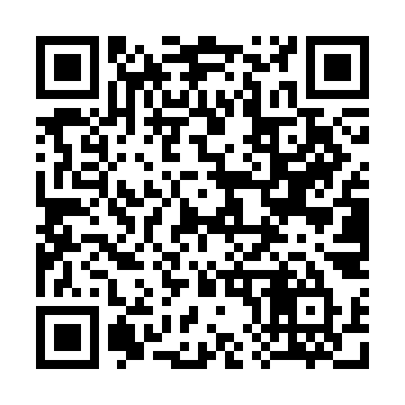 QR code for 384SKU