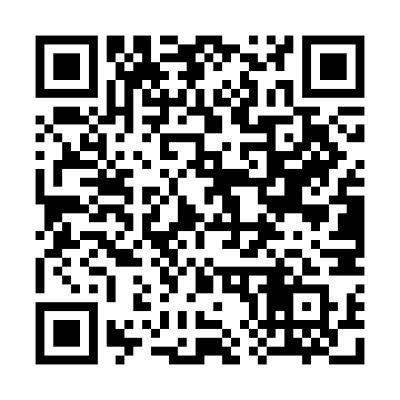 QR code for 384SNQ
