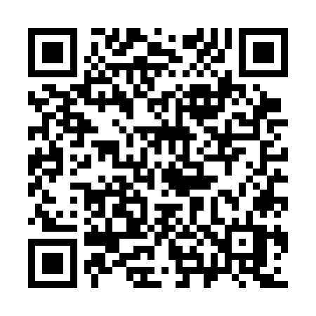 QR code for 384SOT