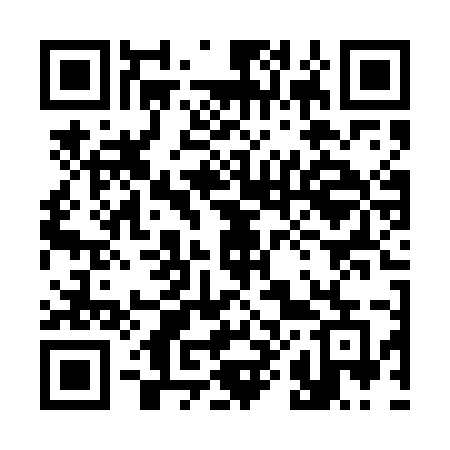 QR code for 384UME