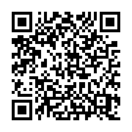 QR code for 384VZT