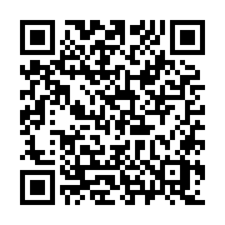 QR code for 384XOX