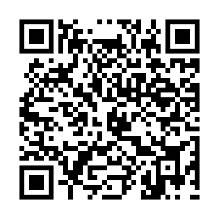 QR code for 384YSK