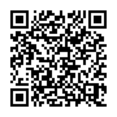 QR code for 384ZDP