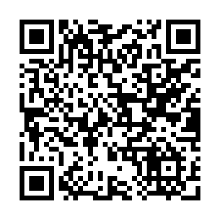 QR code for 384ZTM