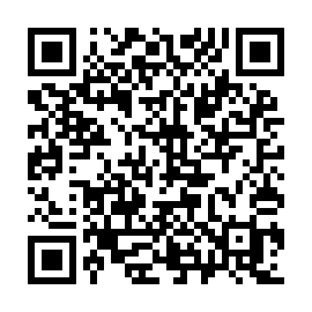 QR code for 385IAI