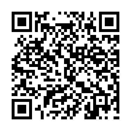 QR code for 385IAP
