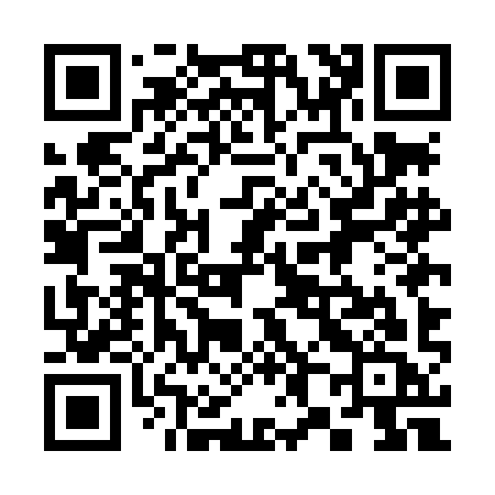 QR code for 385LIC