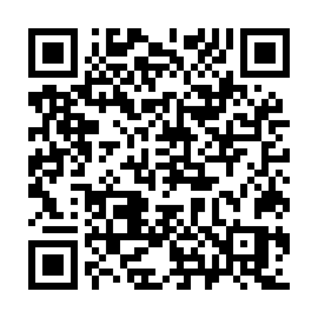 QR code for 385MNS