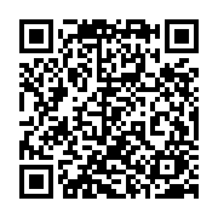 QR code for 385MOO