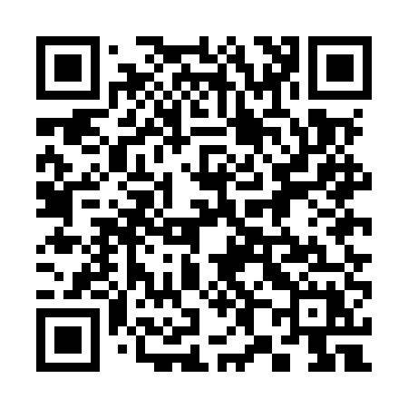 QR code for 385MUX