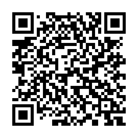 QR code for 385NEC