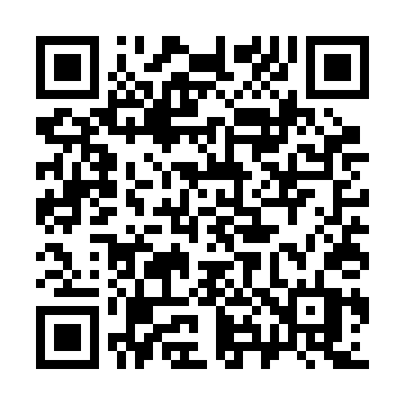 QR code for 385RDT