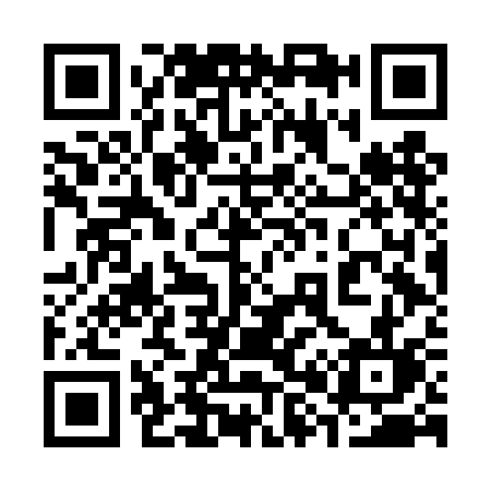 QR code for 386DCL