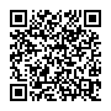 QR code for 386IIC