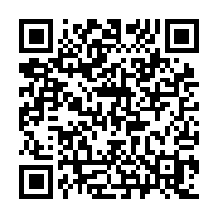 QR code for 386NAI