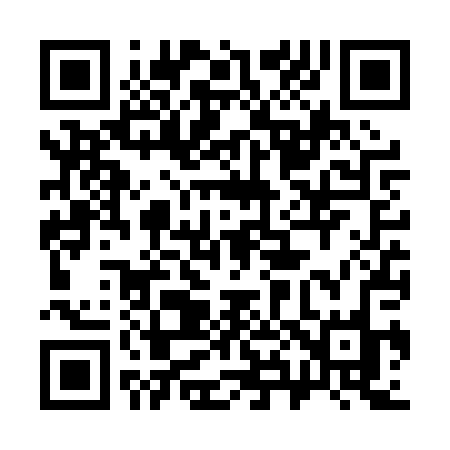 QR code for 386PPO