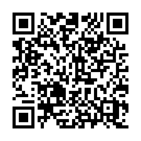QR code for 387APX