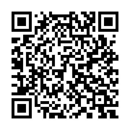 QR code for 387AVL