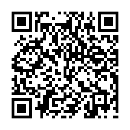 QR code for 387CDX