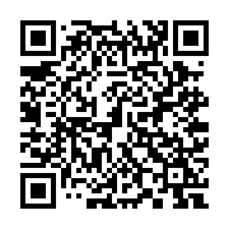 QR code for 387PNM