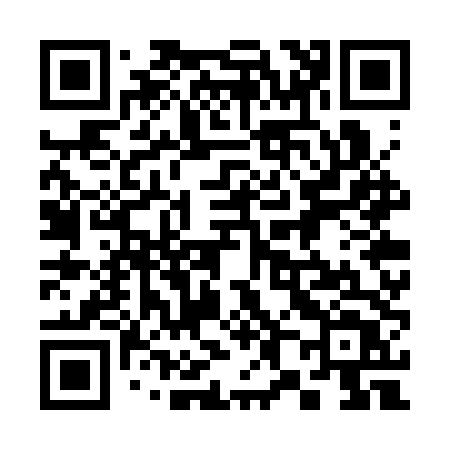 QR code for 387STT