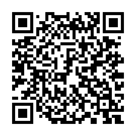 QR code for 387TKN