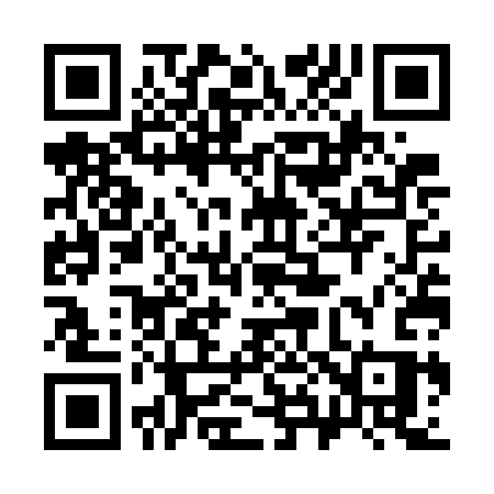 QR code for 387WCS
