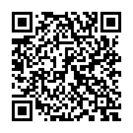 QR code for 388IPI