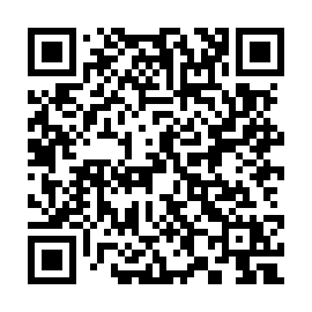 QR code for 388MSX