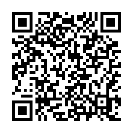 QR code for 389RDK