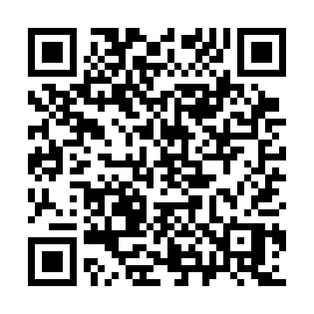 QR code for 389SAP