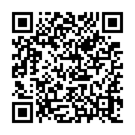 QR code for 389WIZ