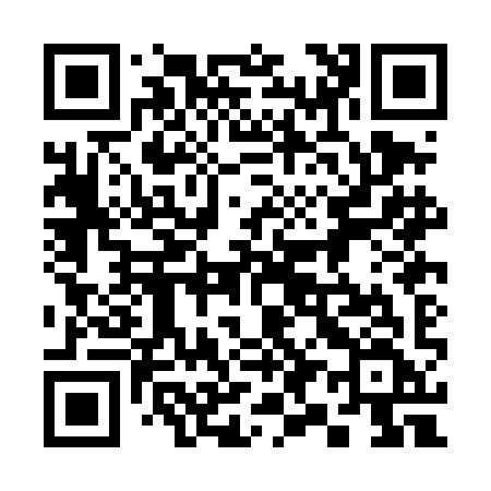 QR code for 390DIF